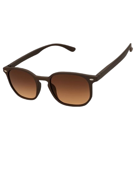 Square Sunglasses in brown